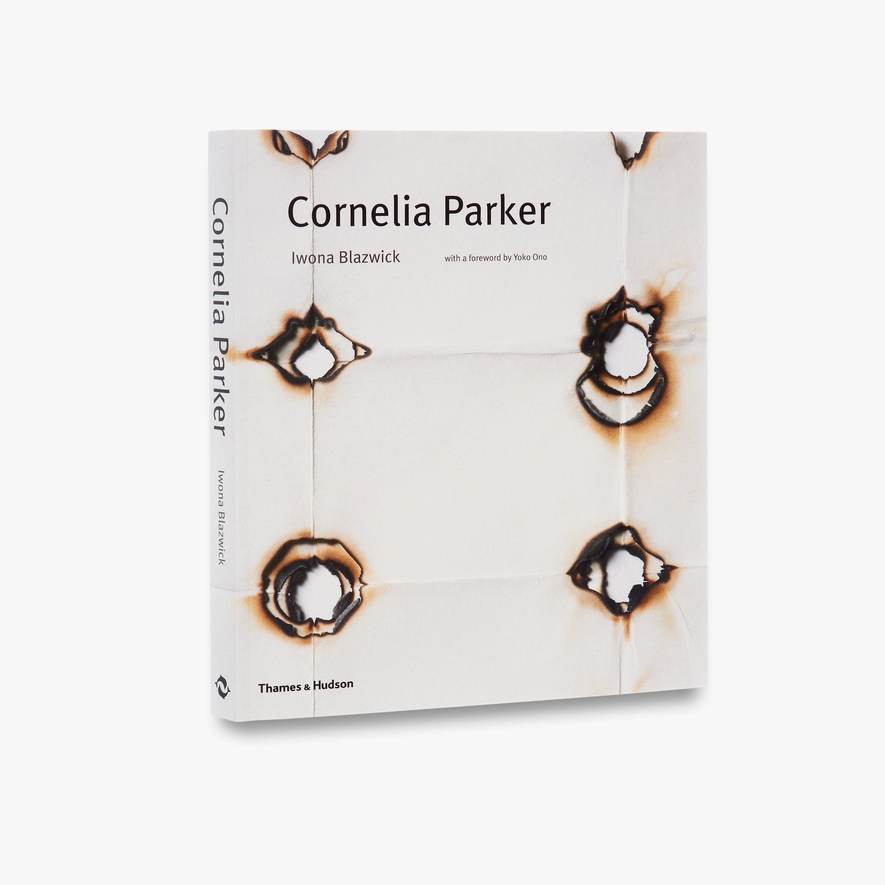 Cornelia Parker Art Prints - Contemporary British Artist Wall Decor for Home & Office | Perfect for Living Rooms, Bedrooms, and Gallery Walls