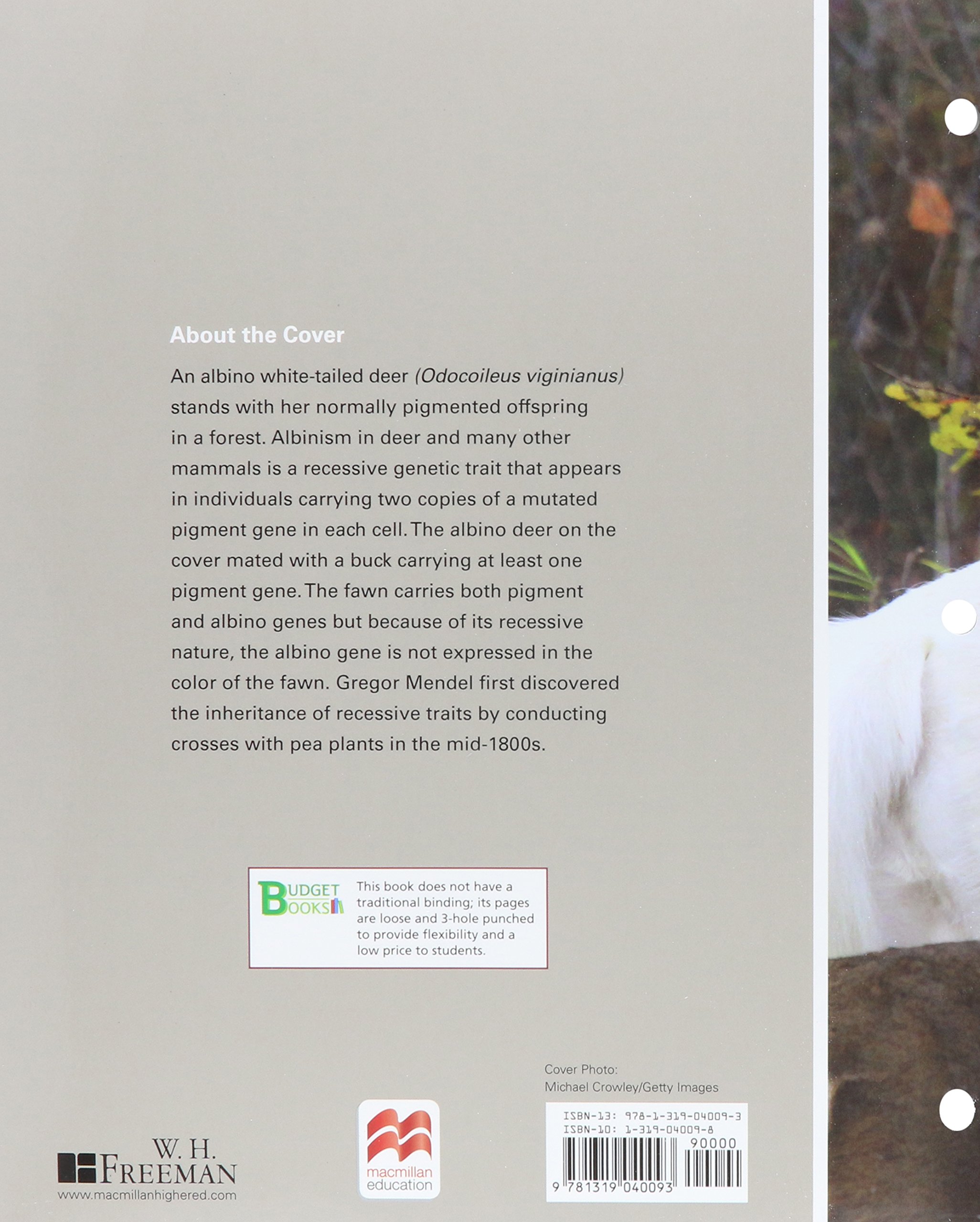 Genetic Essentials: Concepts and Connections - Loose-Leaf Textbook for College Biology & Genetics Courses | Perfect for Students, Educators & Self-Learners Studying Molecular Genetics & Heredity