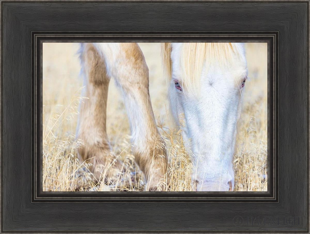 Dry Grass by Greg Sargent - Premium Handcrafted Home Decor for Rustic & Farmhouse Style - Perfect for Wall Art, Shelf Displays & Cozy Living Room Decor