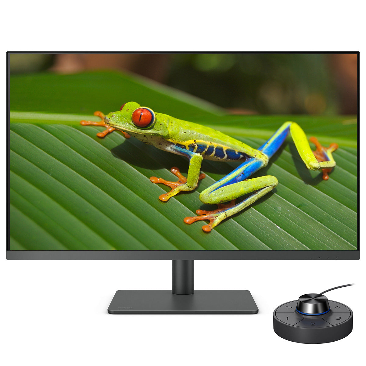 BenQ PD3205U 32