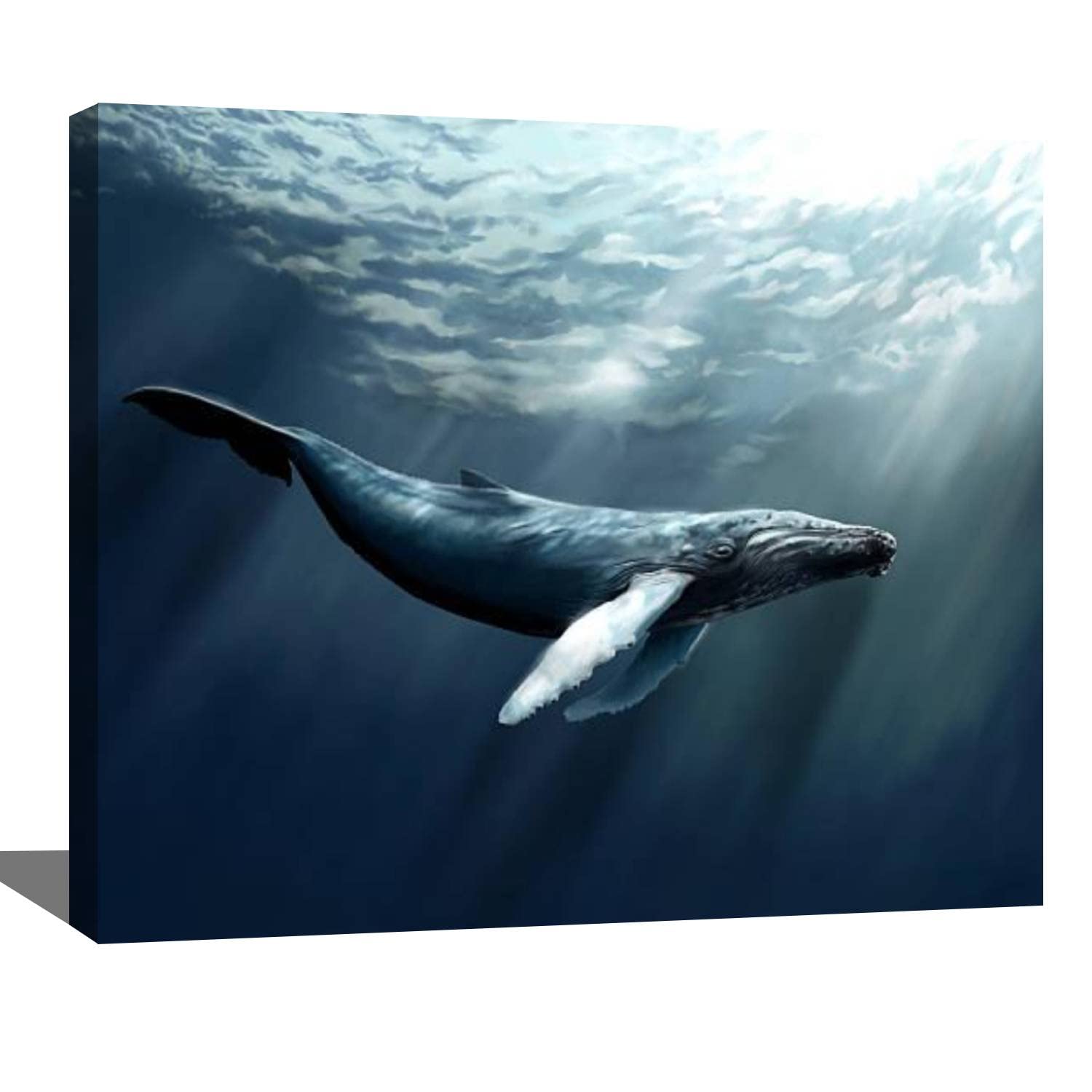 DIY Digital Acrylic Painting Kit - Humpback Whale Paint by Numbers for Adults & Kids | Beginner-Friendly Canvas Art (16x20 Inch) | Wall Decor, Gift Idea & Relaxing Art Therapy Activity
