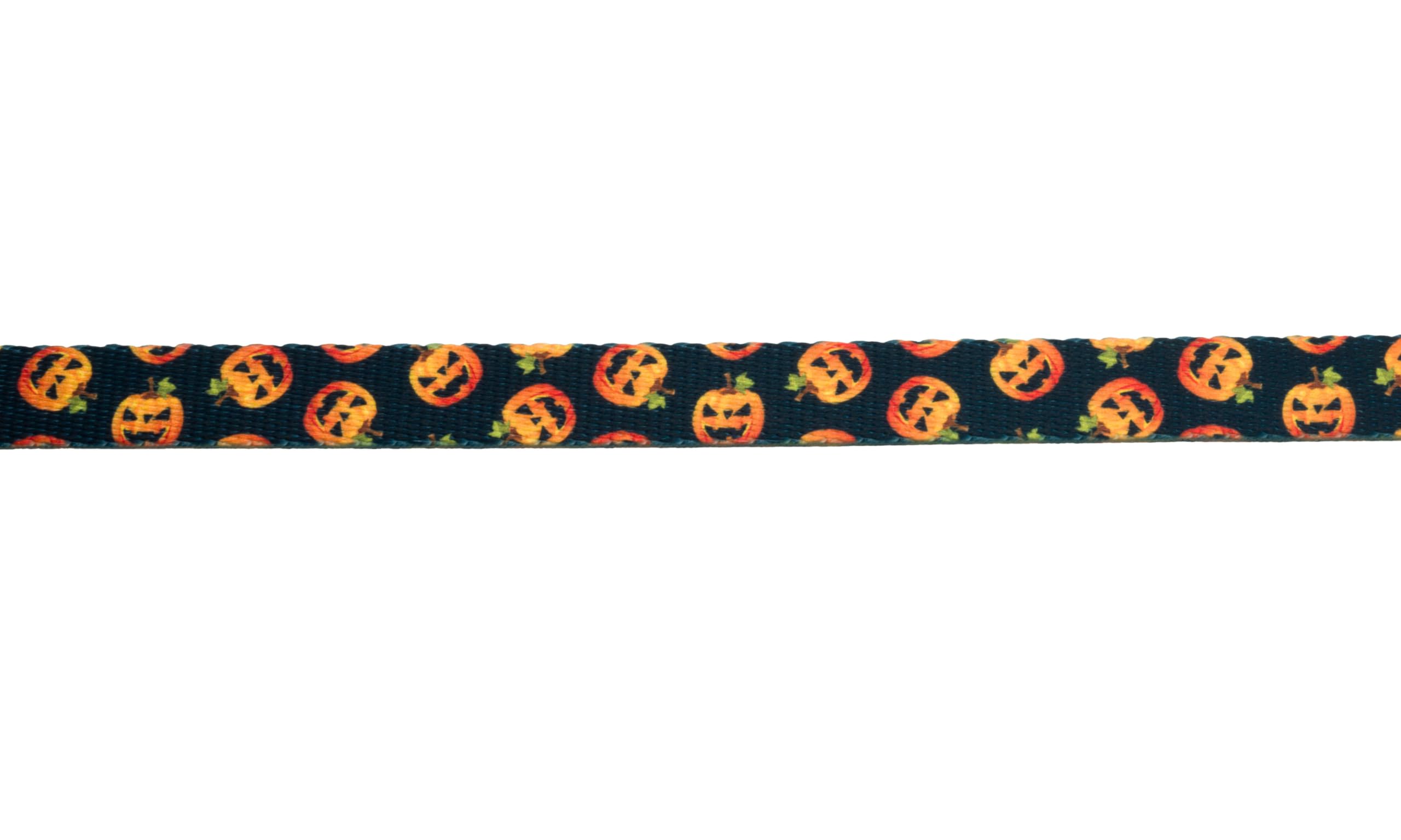 Country Brook Design - Happy Jack Polyester Webbing Dog Collar | Durable Nylon Pet Collar for Small Medium Large Dogs | Perfect for Walking, Training & Outdoor Adventures