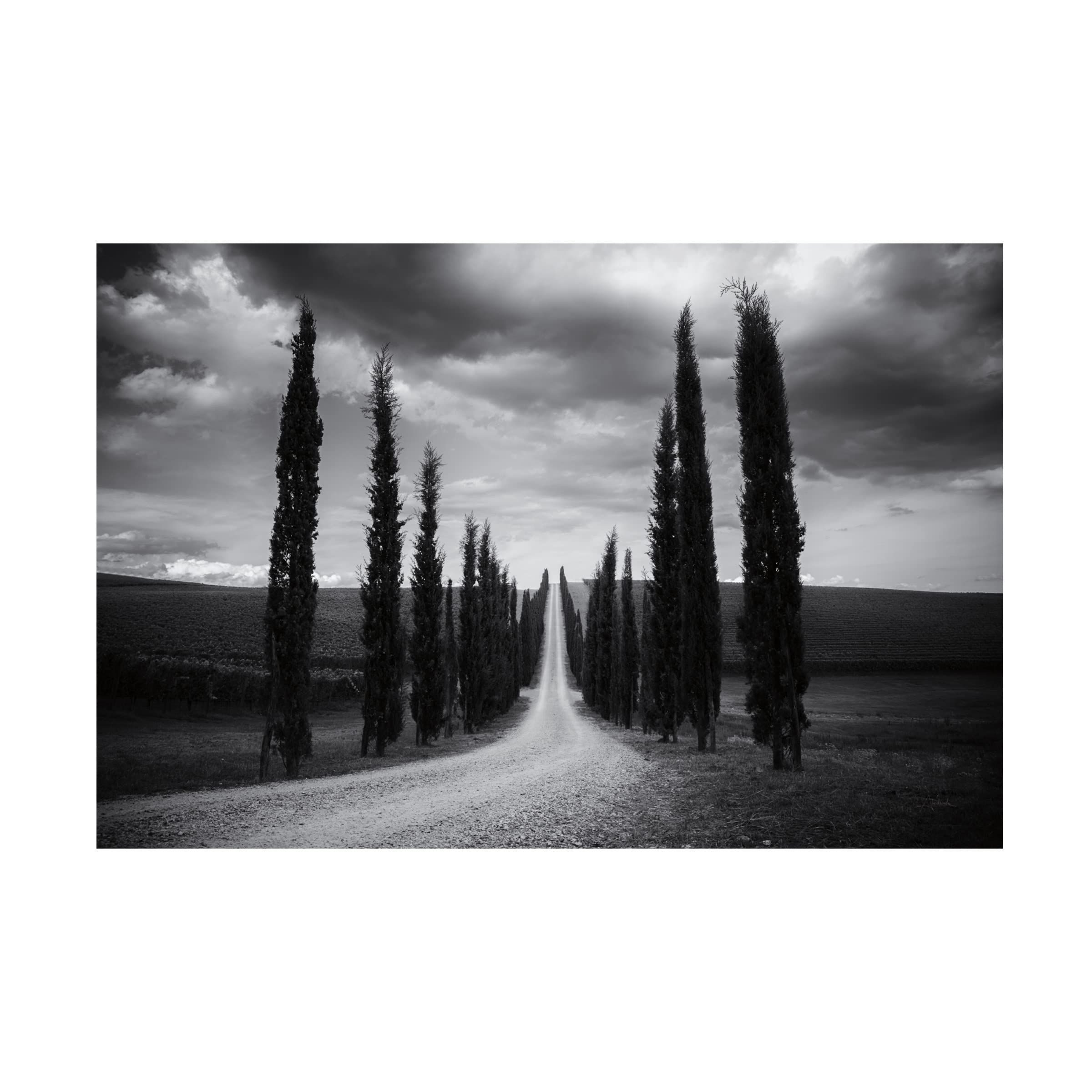 Trademark Fine Art 'Travelling In Tuscany' Canvas Wall Art Print by Aledanda - Italian Landscape Painting for Living Room, Bedroom & Office Decor
