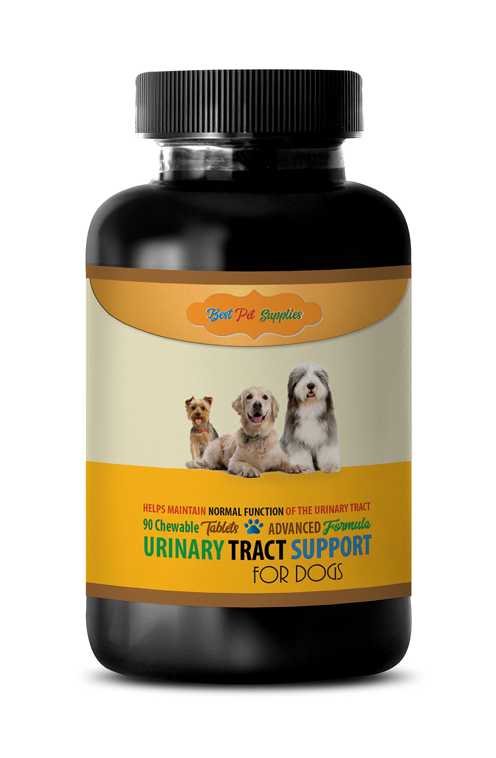 Premium Dog Urinary Health Chews - Advanced UTI Support Supplement with Cranberry Extract - 90 Count Bottle for Small & Large Dogs - Tasty Chewable Formula for Daily Urinary Tract Care - Perfect for Home, Travel & Vet Visits