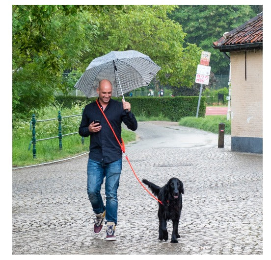 Hands-Free Dog Leash for Walking, Running & Hiking - Adjustable Shoulder Strap for Small to Large Dogs - Perfect for Outdoor Adventures & Daily Walks