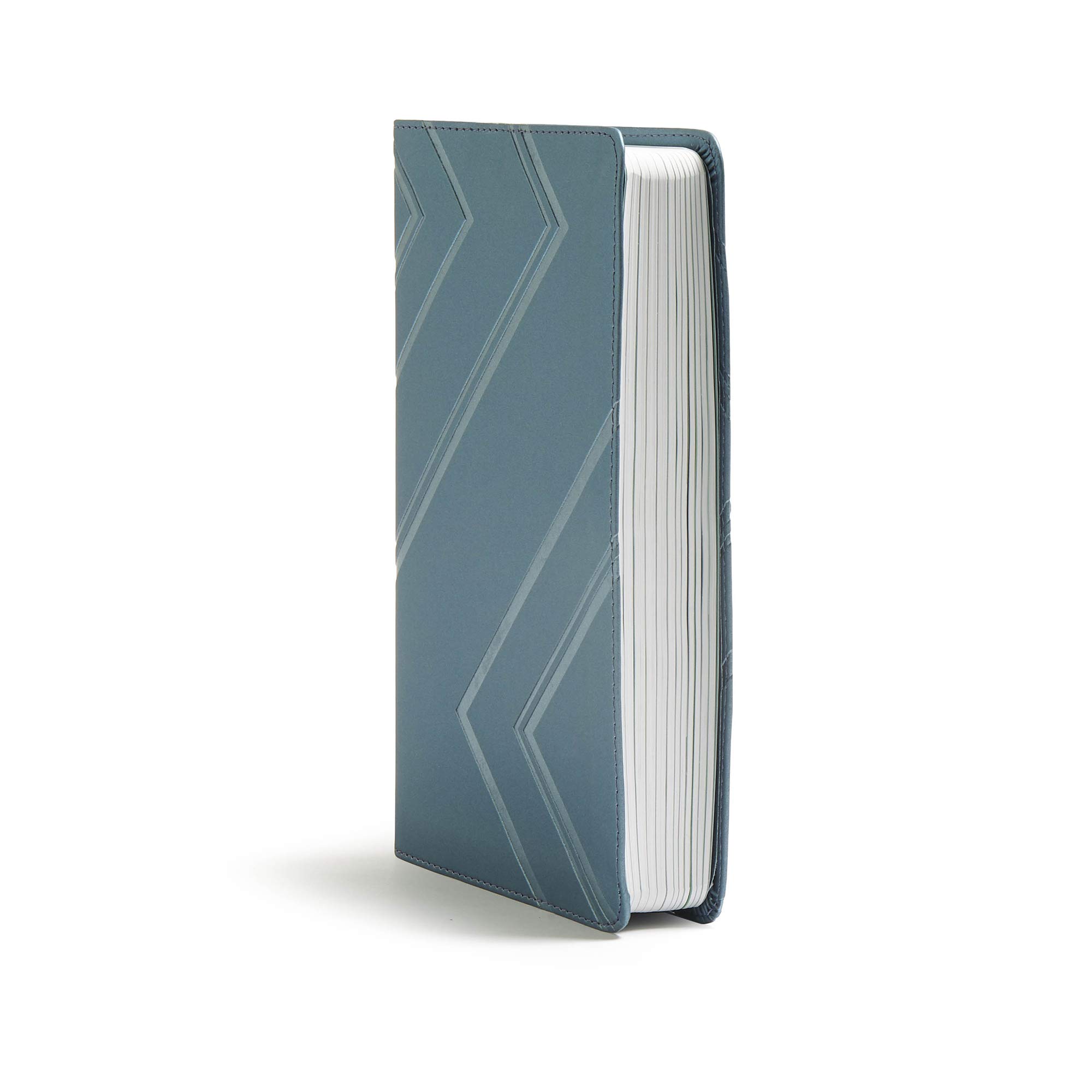 CSB Kids Bible - Christian Gift for Children, Blue LeatherTouch - Perfect for Sunday School & Daily Devotions