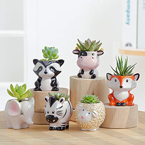 Elephant/Panda/Fox/Cow/Sheep/Zebra
