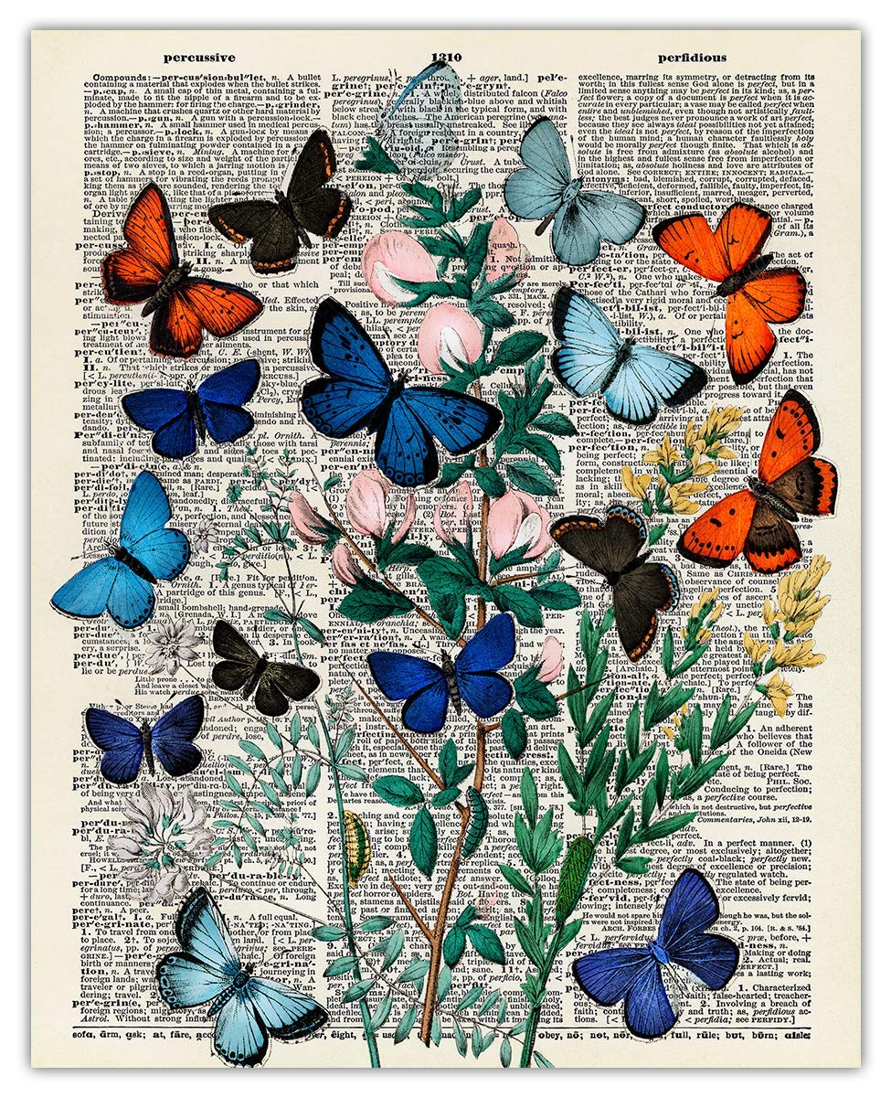 Butterflies and Moths Dictionary Wall Art Print - 8x10 Unframed Nature Poster for Home Decor, Living Room, Bedroom & Office