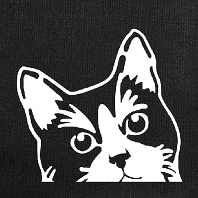 Tuxedo Cat