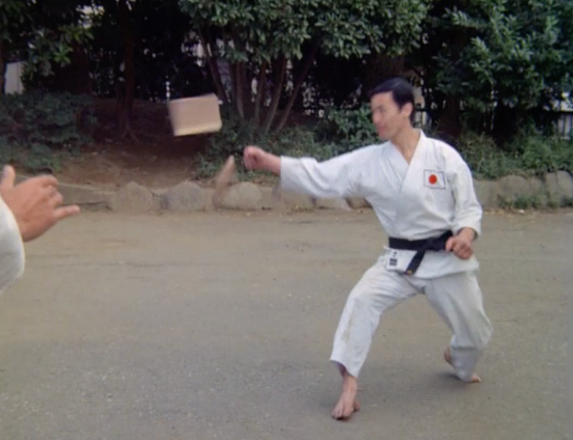 Budo: The Art of Killing - Martial Arts Documentary DVD | Explore Japanese Warrior Traditions & History | Perfect for Martial Arts Enthusiasts & History Buffs
