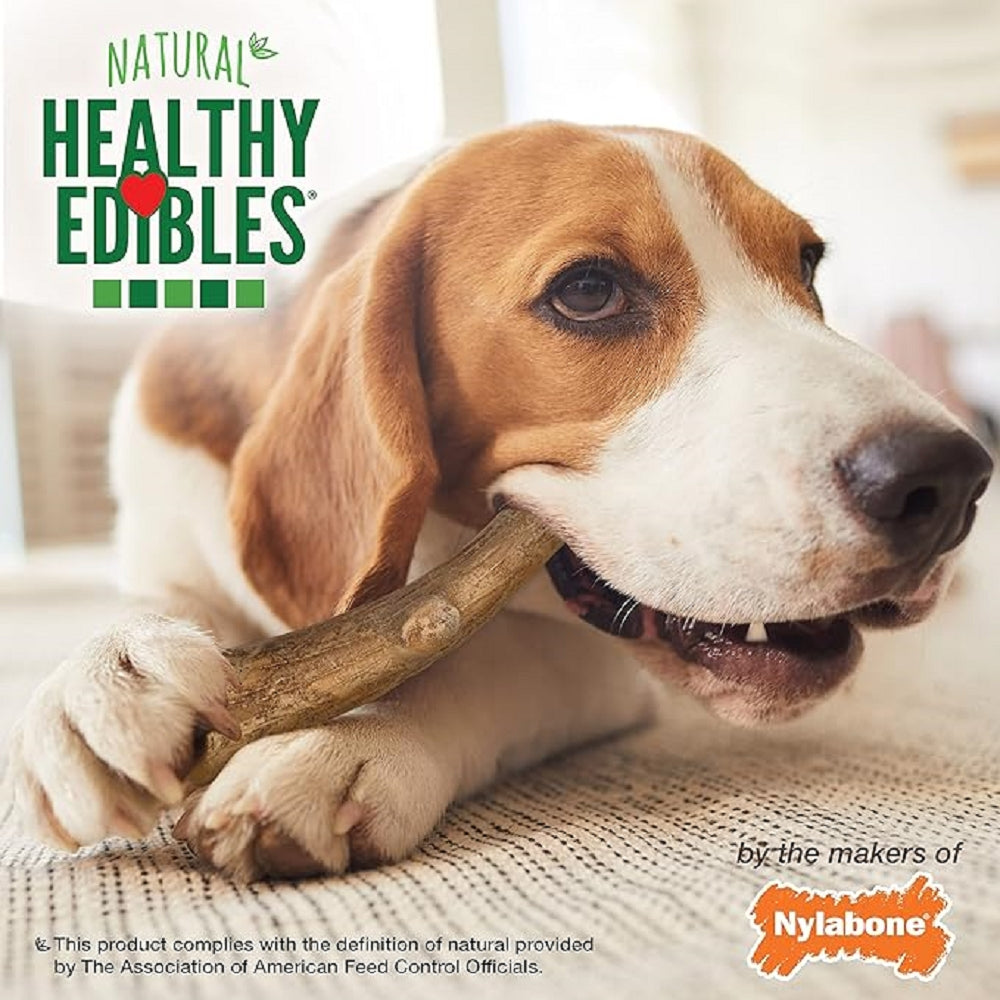Natural Long-Lasting Dog Dental Chews - Healthy Wild Antler Edibles for Teeth Cleaning & Fresh Breath | Perfect for Aggressive Chewers & Dental Care Routine