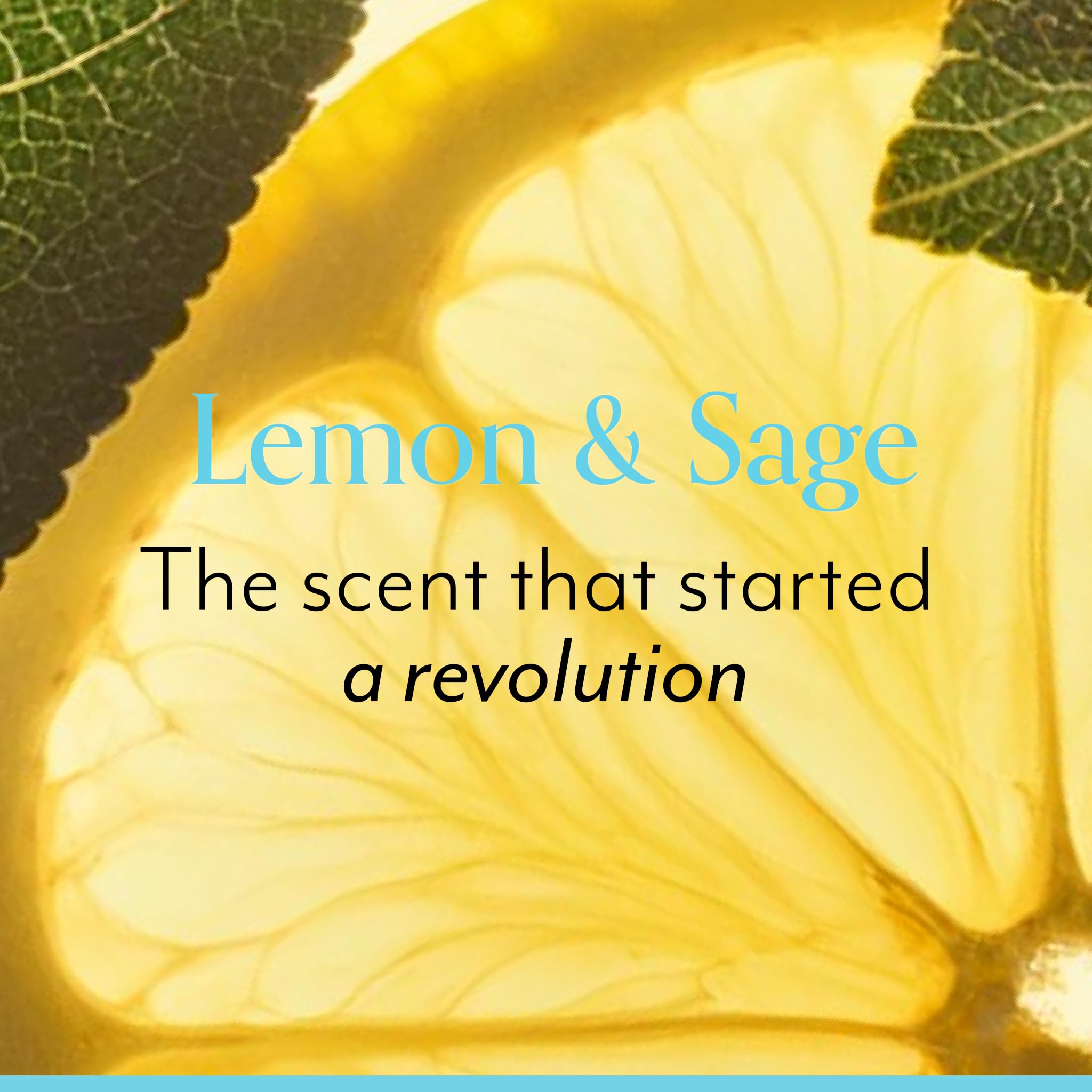 Bliss Lemon & Sage Trio Set: Hydrating Body Wash, Exfoliating Scrub & Nourishing Body Butter for Soft, Glowing Skin – Perfect for Daily Shower Routine & Spa-Like Self Care at Home