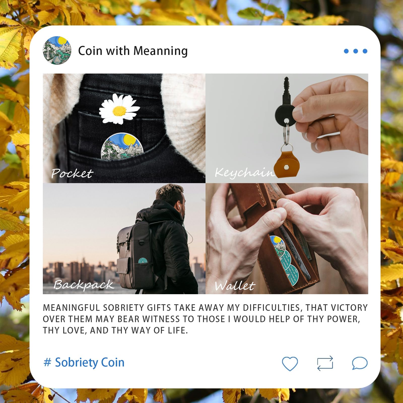 14 Year Sobriety Coin - AA Recovery Medallion with Serenity Prayer - NA Chip for Alcoholics & Narcotics Anonymous - Prime Living Clean Token - Inspirational Gift for Men & Women (Ideal for AA Meetings, Recovery Milestones & Sober Living Support)