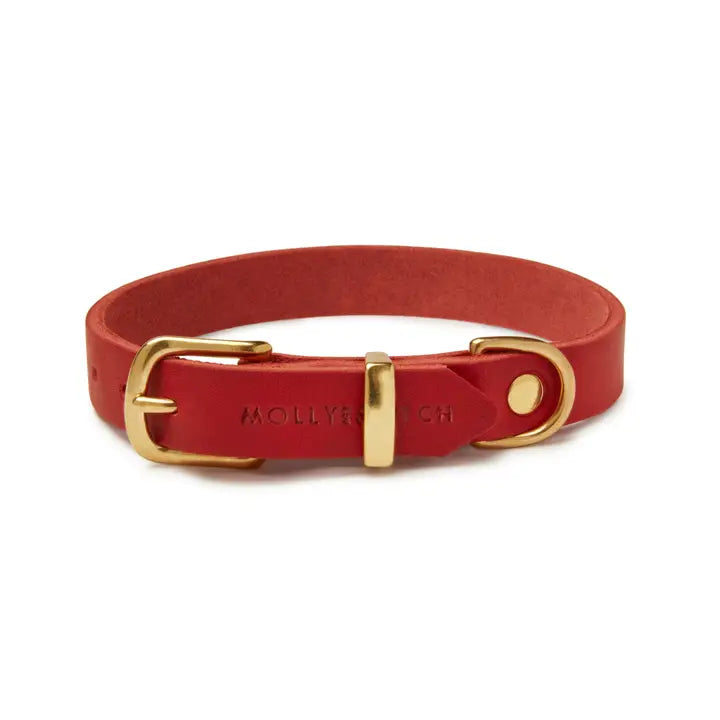 Stylish Chili Red Dog Collar - Durable & Adjustable Pet Collar for Small to Medium Dogs - Perfect for Walks, Training & Everyday Use