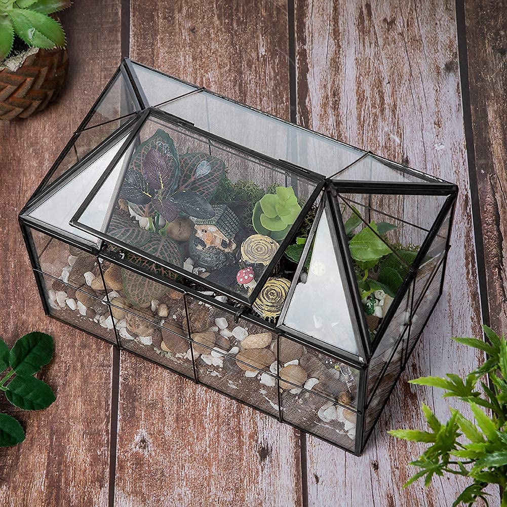Ferrisland Glass Terrarium Greenhouse - House Shape Display Box for Succulents & Air Plants | Modern Tabletop Decor Planter Container | Perfect for Home Office, Wedding Centerpiece & DIY Garden Projects