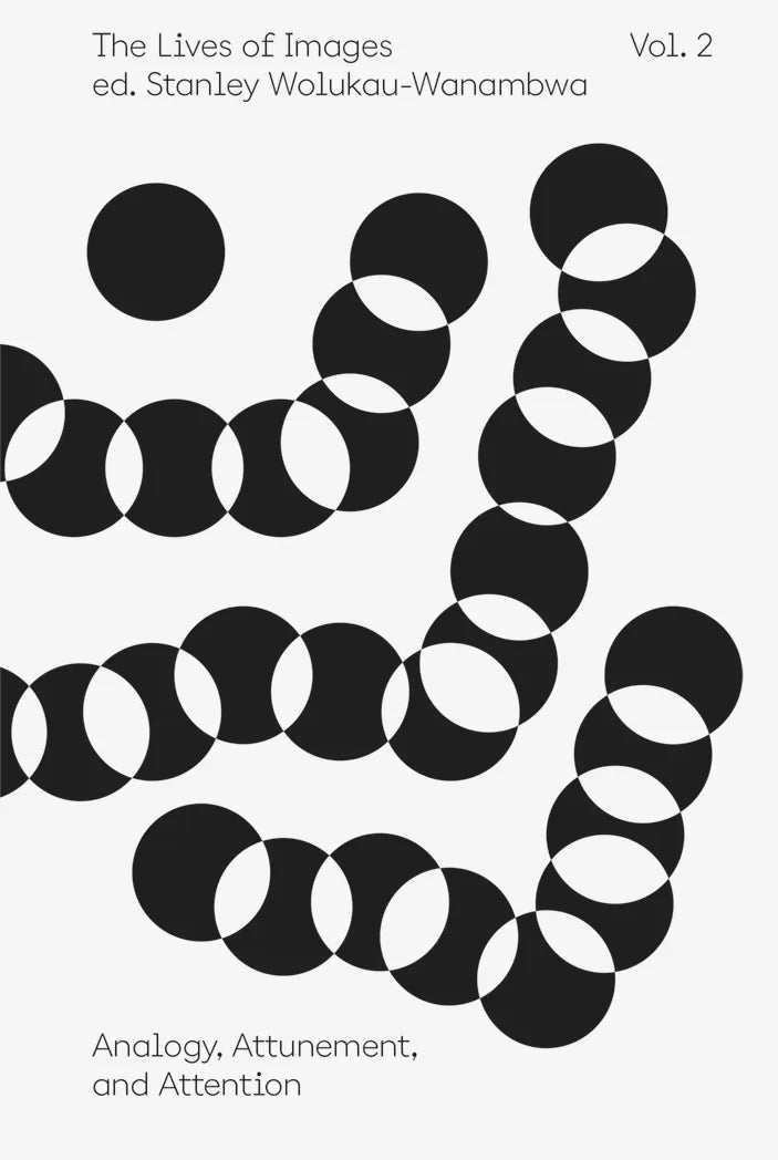 The Lives of Images, Vol. 2: Analogy, Attunement, and Attention - Exploring Visual Culture for Art Lovers, Students & Educators