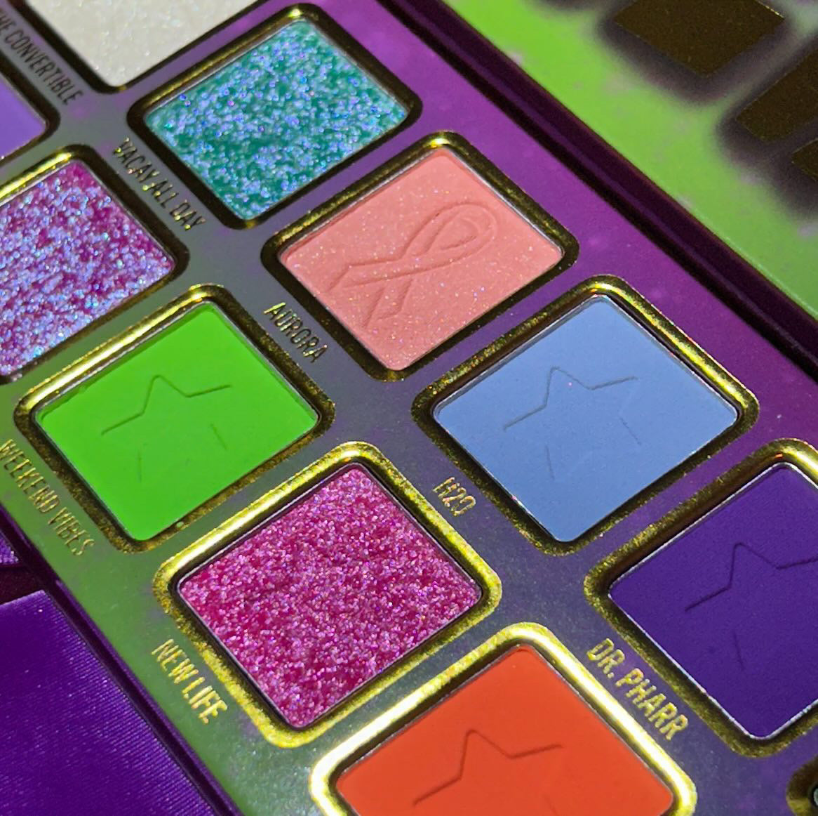 Nueva Vida x Steff's Beauty Stash Eyeshadow Palette - 18 Highly Pigmented Matte & Shimmer Eyeshadows for Professional Makeup | Perfect for Day to Night Looks, Bridal Makeup & Special Occasions