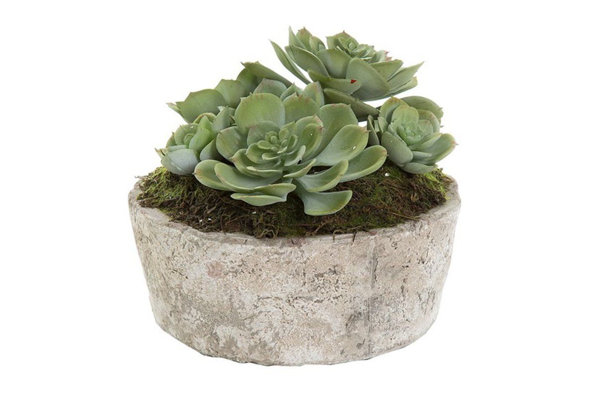 Artificial Green Succulent Plants in Ceramic Pot - Mini Fake Potted Plants for Home Office Desk Decor, Wedding Centerpieces & Shelf Displays