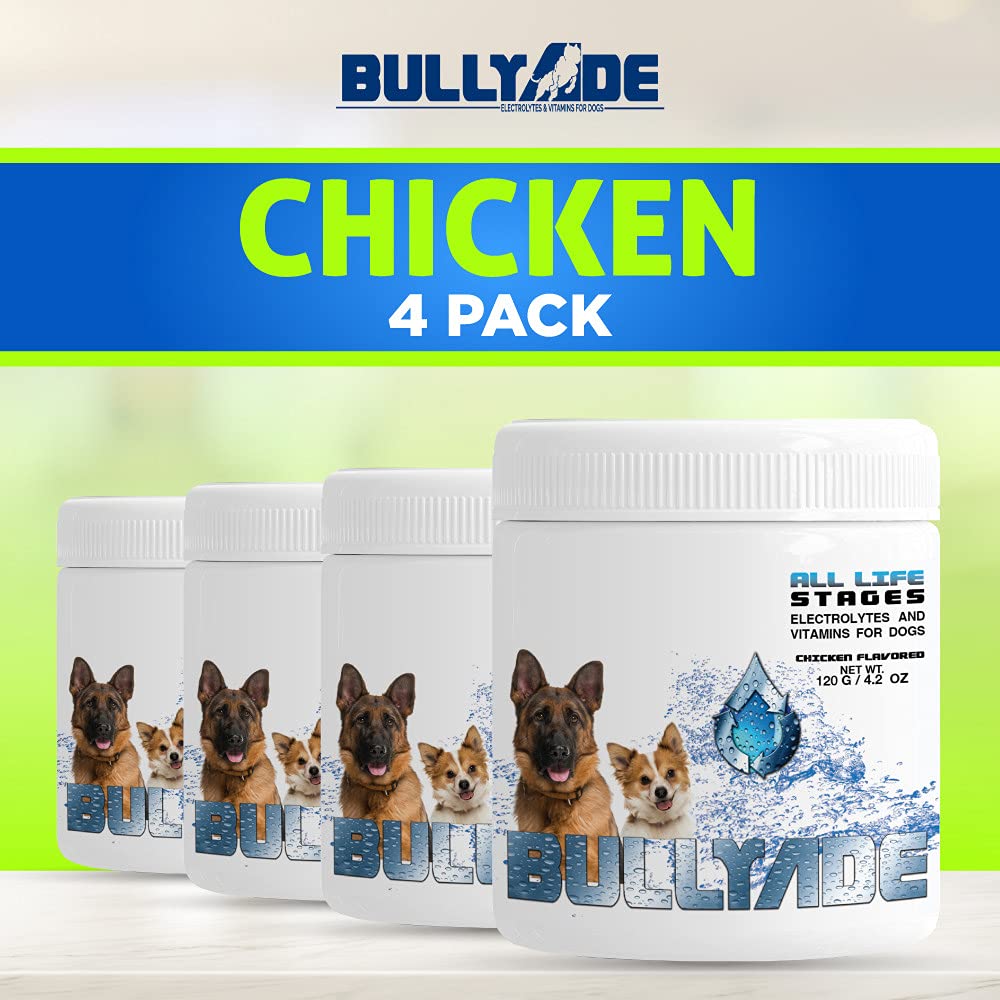 Premium Natural Dog Supplement with 18 Essential Vitamins, Minerals & Electrolytes - Chicken Flavor 4 Pack | Mixes Easily with Water or Food | Supports Immune Health, Digestion & Energy for Active Dogs