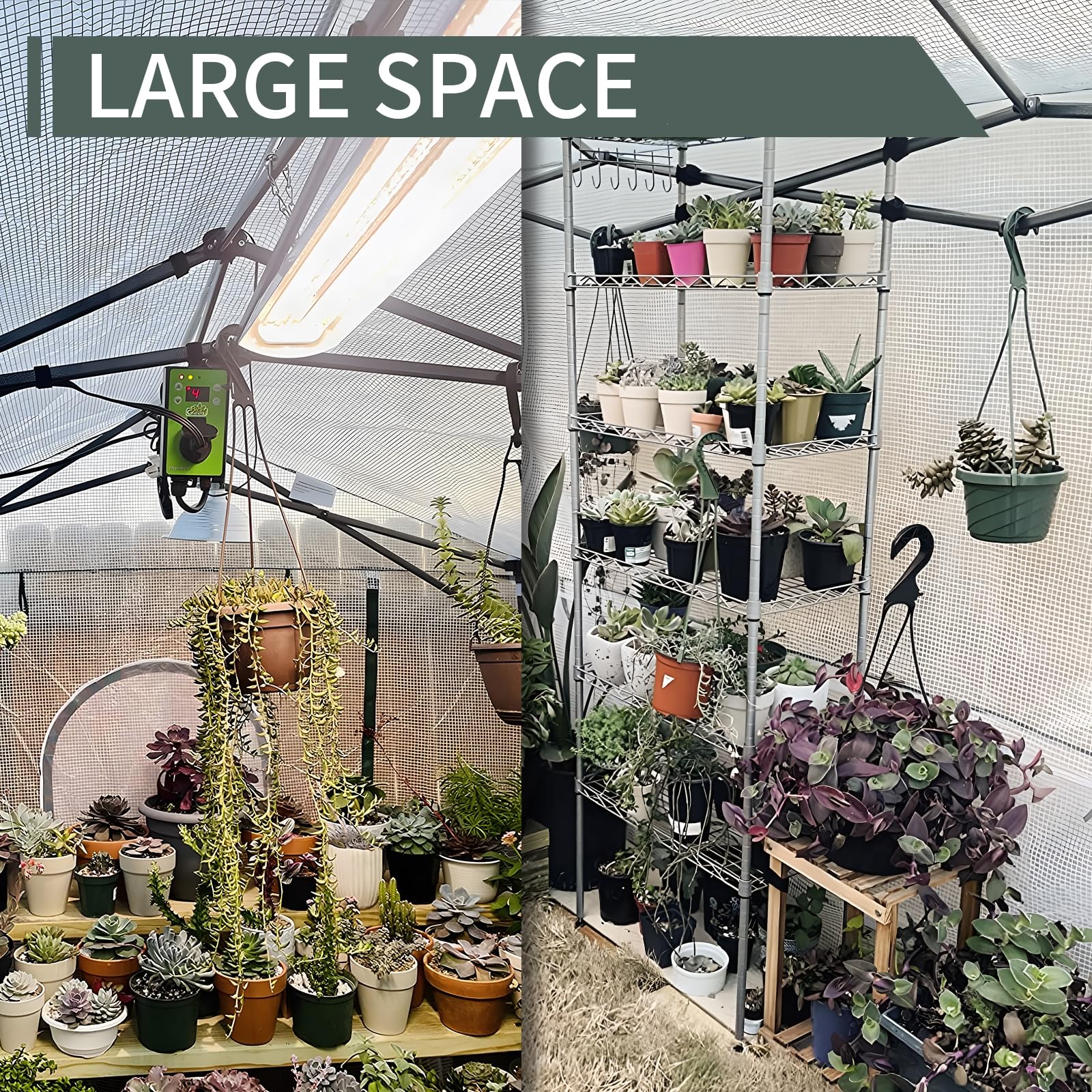 8.5 Ft x 7 Ft Walk-in Greenhouse with Roll-up Zipper Doors & 3 Large Windows - Portable Pop-up Outdoor Plant Canopy for Gardening, Vegetables & Flowers (Medium, Clear) | Perfect for Backyard, Patio & Small Farm Use