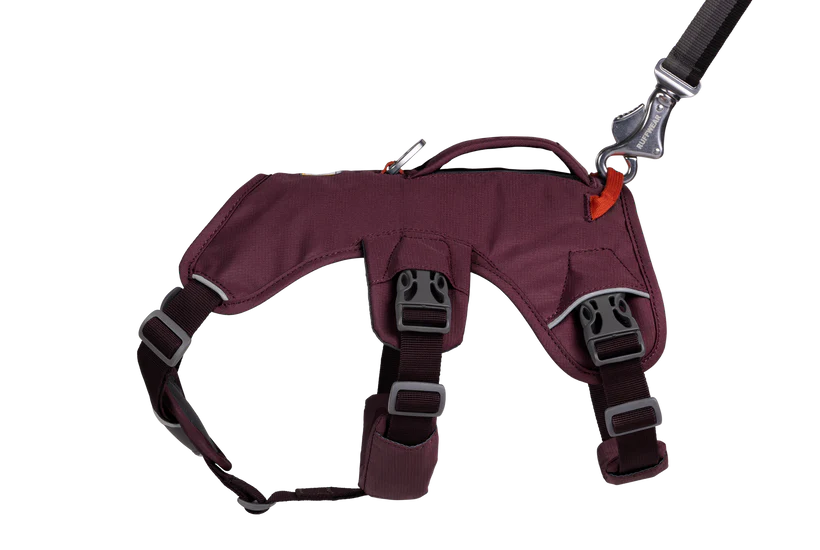 Ruffwear Web Master Dog Harness - Adjustable & Reflective for Hiking & Outdoor Adventures (New Colors) - Perfect for Trail Running, Camping & Daily Walks