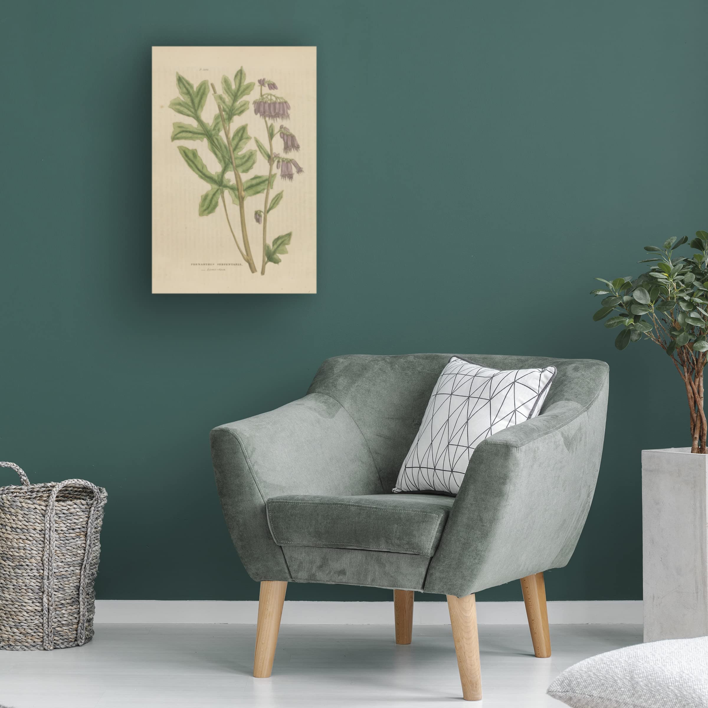 Wild Apple Portfolio 'Herbal Botanical XVII' Canvas Wall Art Print - Nature Inspired Home Decor for Living Room, Bedroom & Office