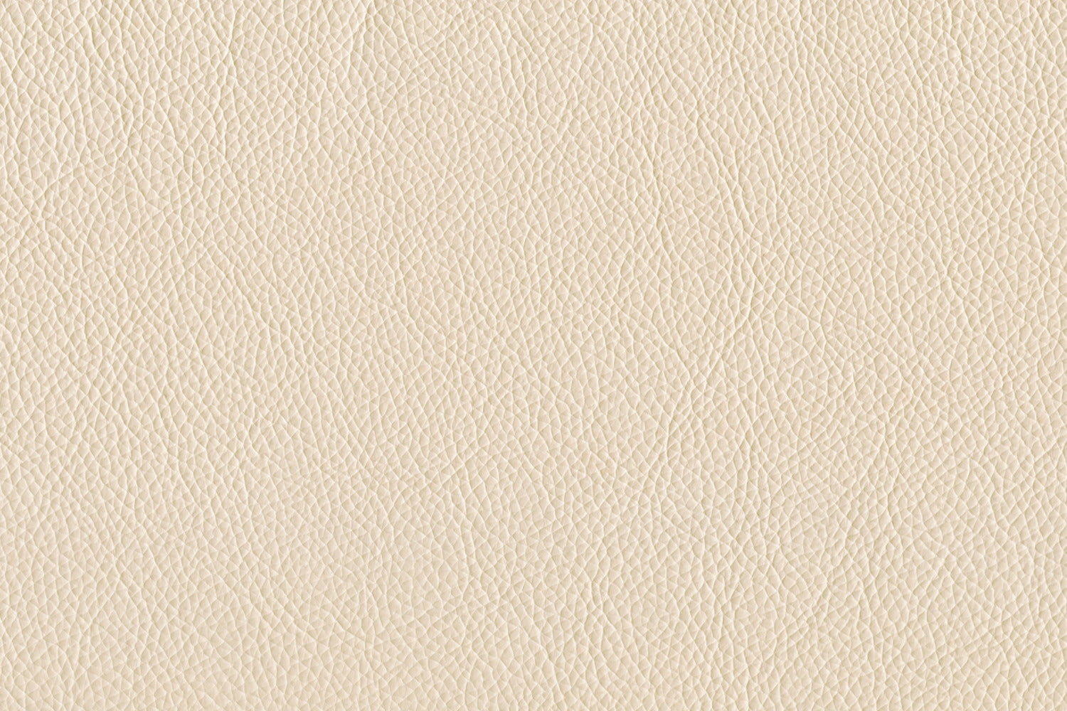 Braylon Leather Loveseat Sofa - Genuine Leather, Comfortable 2-Seater Couch in Bisque Beige - Perfect for Living Room, Lounge, and Home Theater Seating