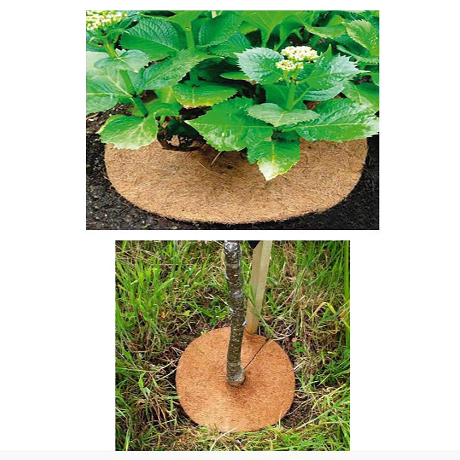 4 Pack Natural Coconut Fiber Mulch Rings - Round Coco Coir Tree Protector Mats for Garden Planters | Weed Control & Root Protection Discs | Indoor/Outdoor Use for Flower Pots, Trees & Landscaping