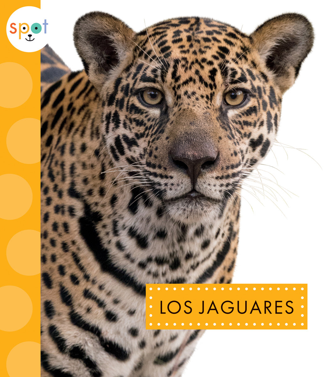 Los Jaguares - Authentic Handmade Jaguar Themed Jewelry & Accessories | Perfect for Gifts, Parties & Cultural Events