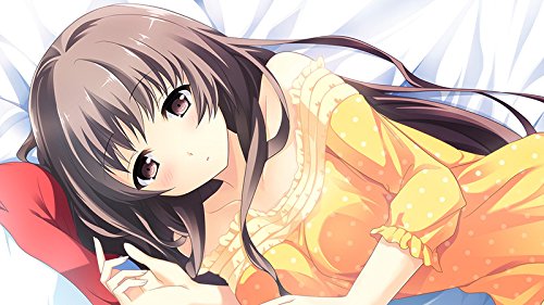 If My Heart Had Wings CRUISE SIGN Limited Edition Japanese Visual Novel - Romantic Adventure Game for PC & Mac | Perfect for Anime Fans & Dating Sim Lovers