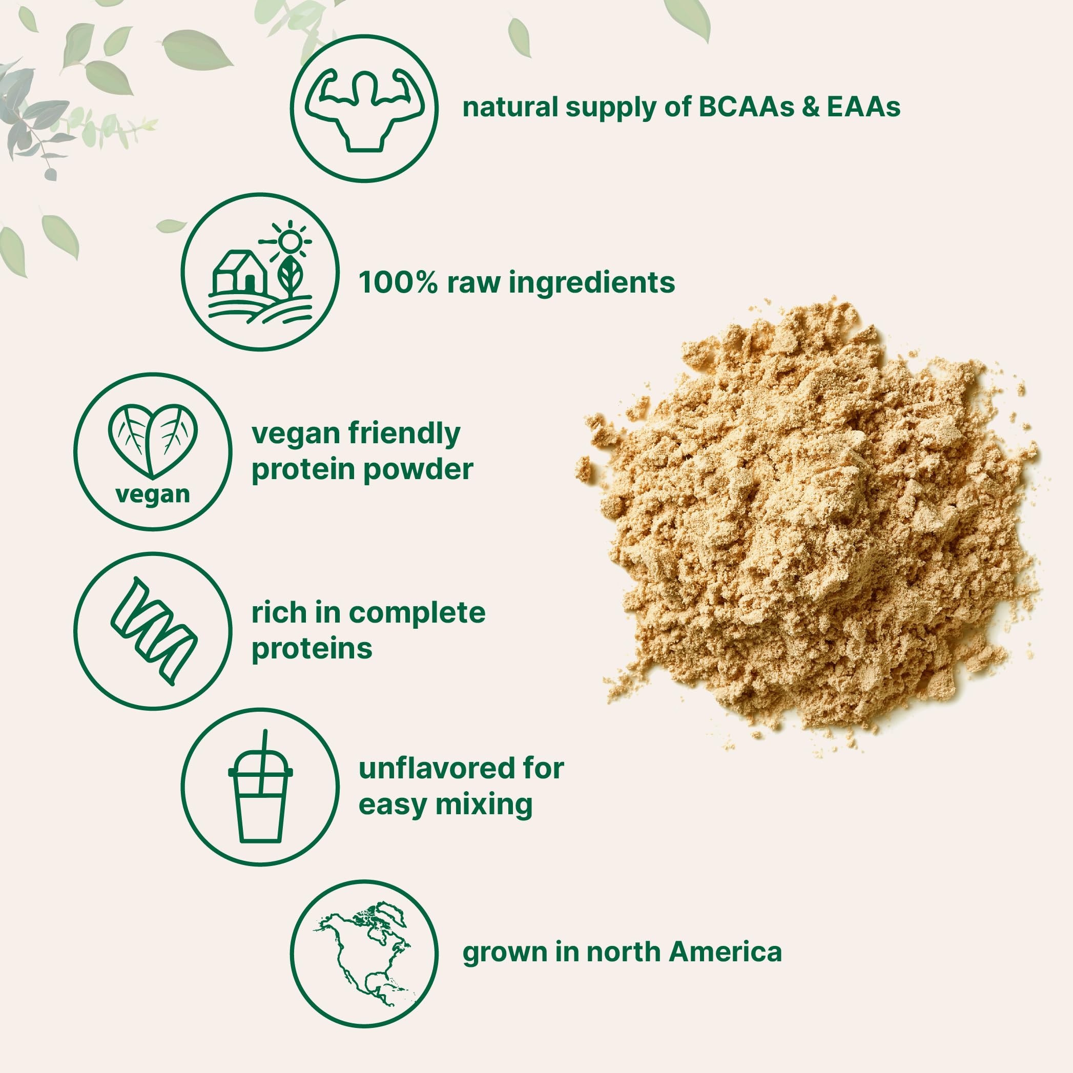 Organic Pea Protein Powder 5lbs - Unflavored Vegan Protein Supplement | 27g Plant-Based Protein per Serving | Rich in BCAAs & EAAs | Non-GMO, Keto Friendly | North American Grown | Perfect for Smoothies, Baking & Post-Workout Recovery