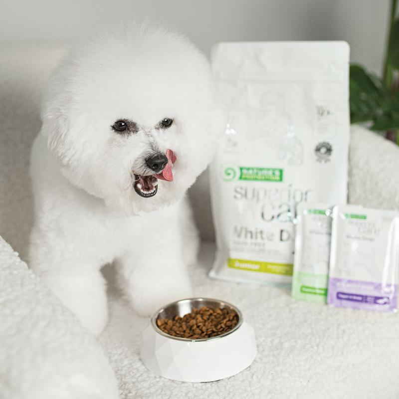 Premium Wet Dog Food for Adult Dogs - All Breeds with Tuna & Sea Bass | High-Protein Meal for Healthy Skin & Coat | Perfect for Picky Eaters & Sensitive Stomachs