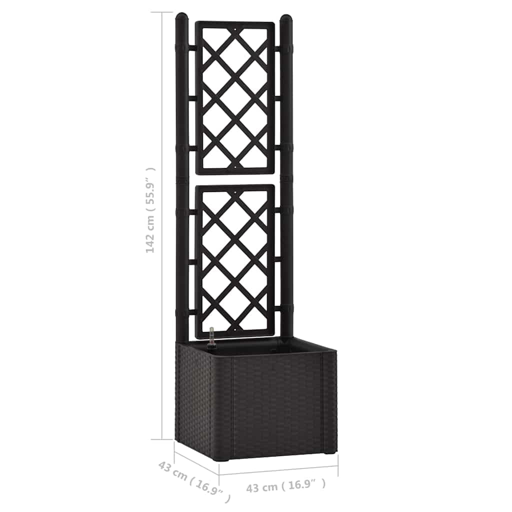 vidaXL Raised Garden Bed with Trellis - Self Watering Planter with Water Level Indicator for Flowers, Vegetables & Plants - Durable PP Material in Anthracite - Perfect for Indoor & Outdoor Gardening, Patio, Balcony & Backyard