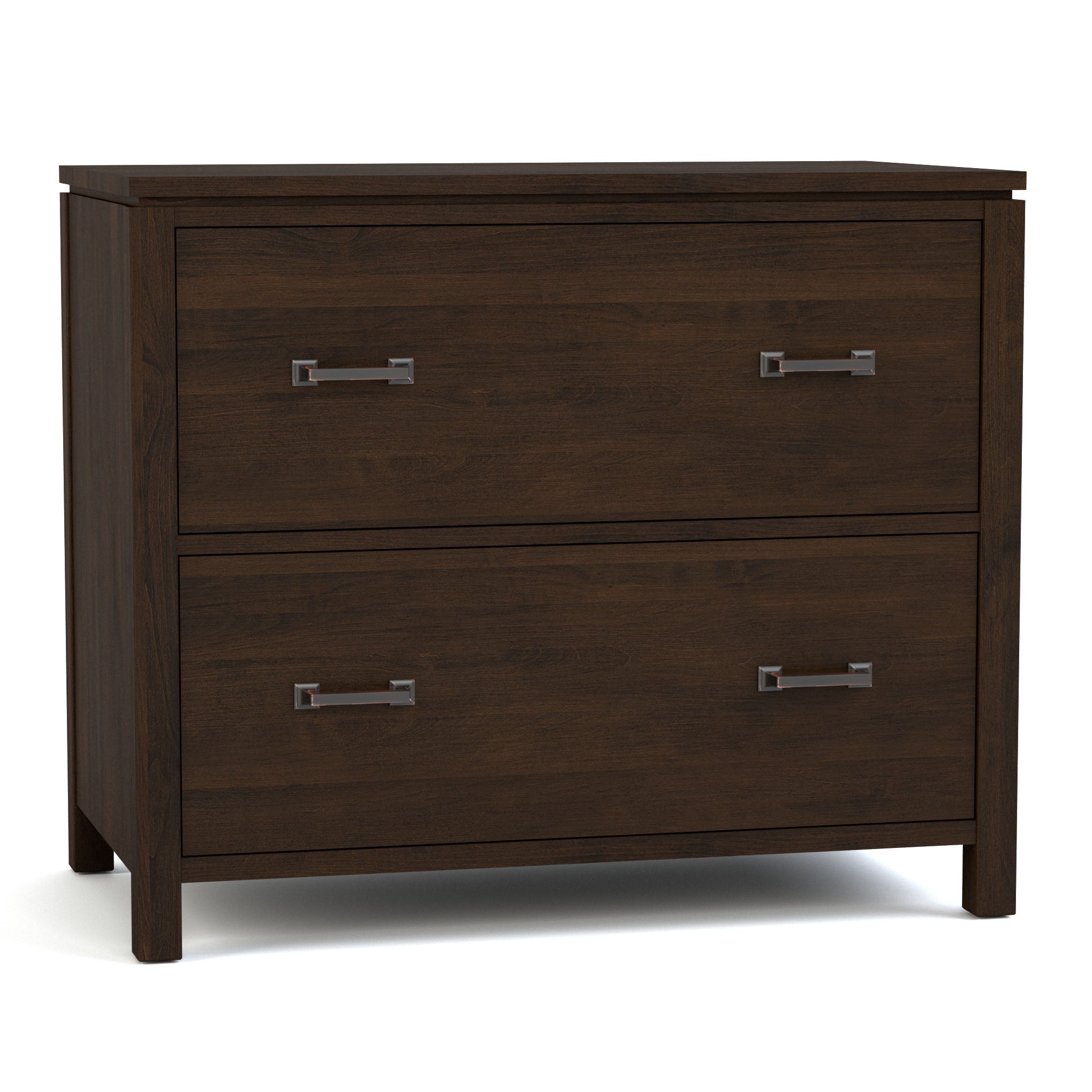 Dwyer Two Drawer File Cabinet - Metal Office Storage Solution for Documents & Folders - Perfect for Home Office, School, or Workplace Organization