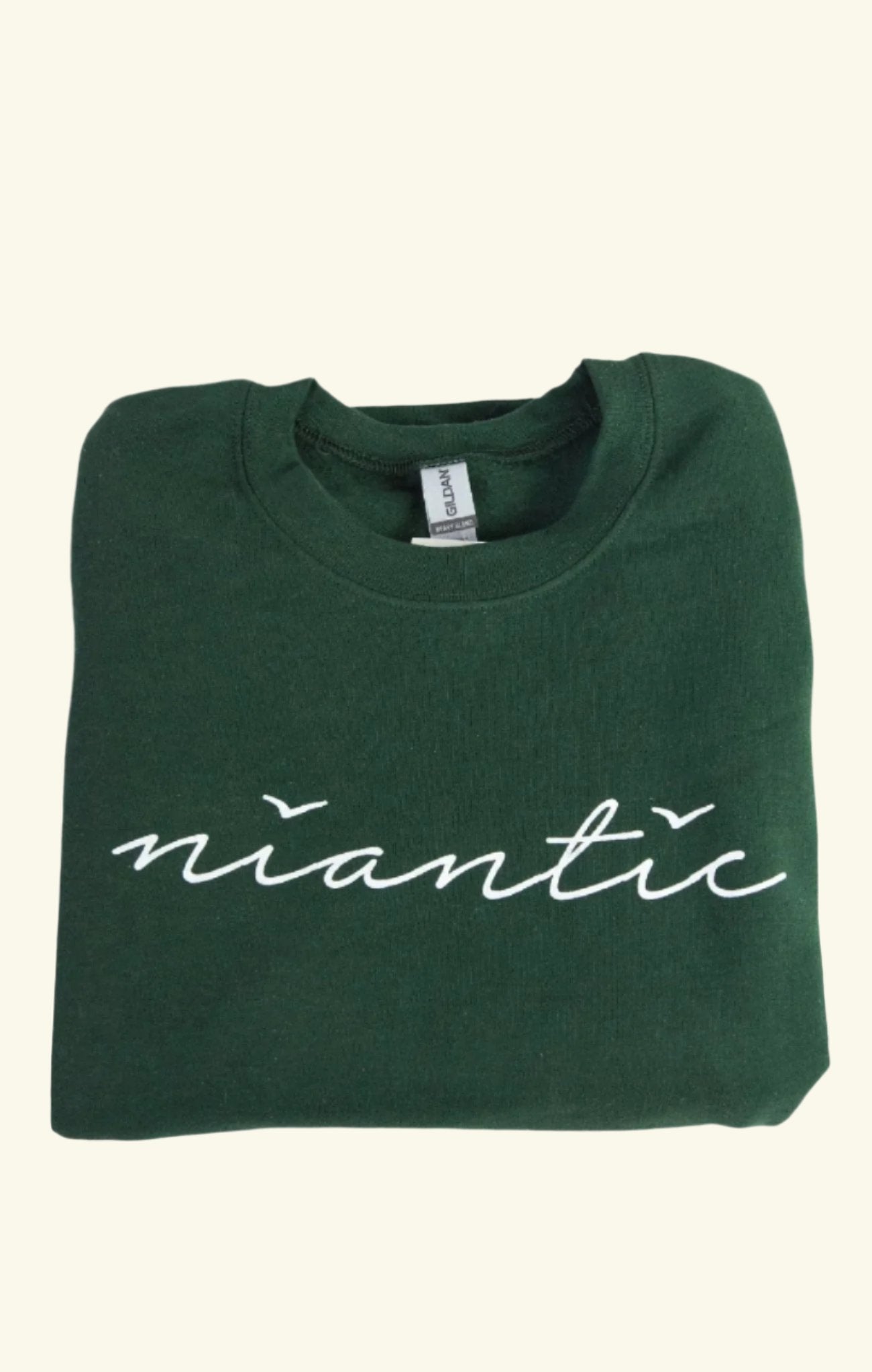 Niantic Seagulls Crewneck Sweatshirt - Soft Cotton Pullover with Unique Graphic Print | Perfect for Casual Wear, Street Style & Outdoor Activities