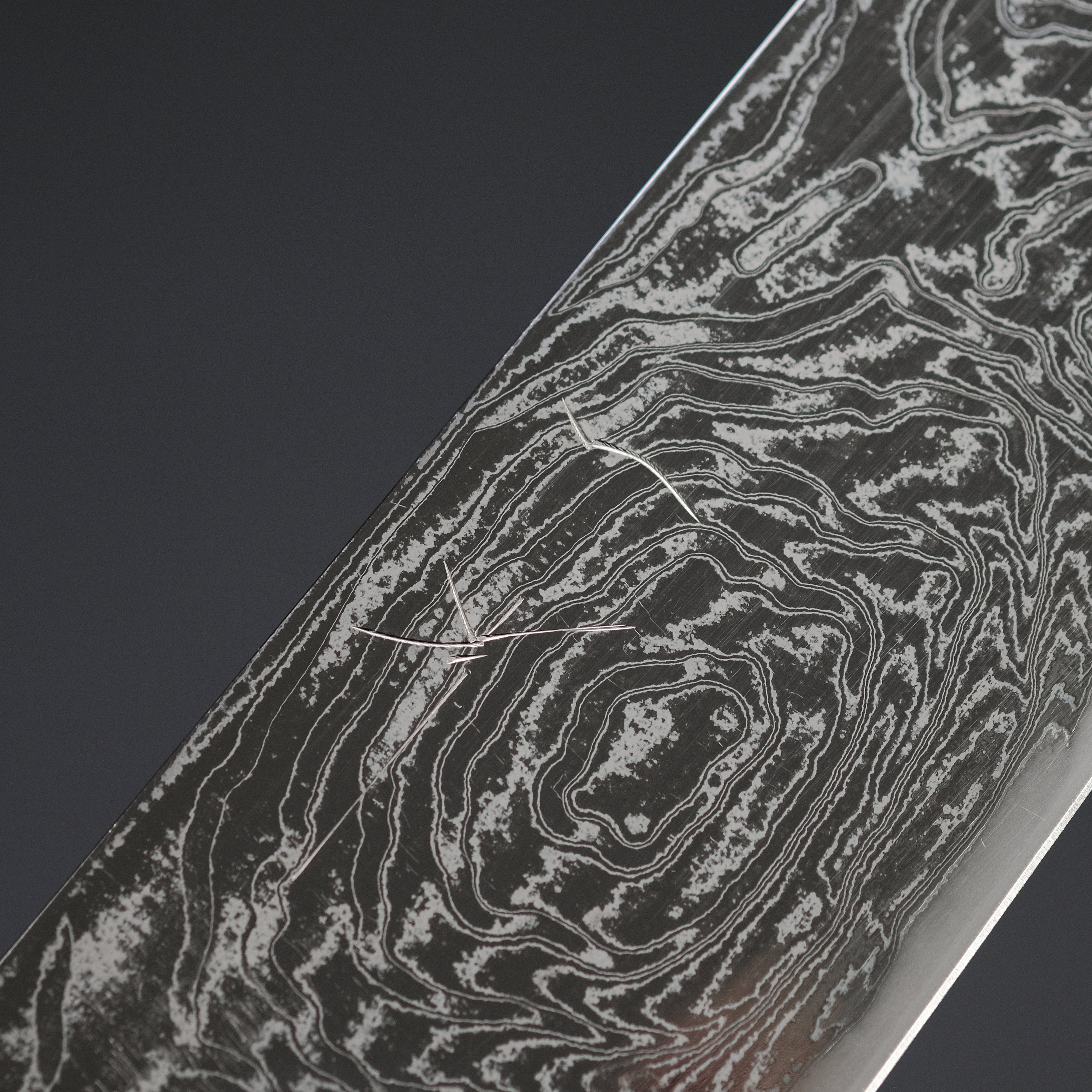 Hitohira Futana Nickel Damascus Gyuto 240mm Japanese Chef Knife with Tagayasan Wood Handle - Professional Kitchen Tool for Slicing, Dicing & Meat Cutting