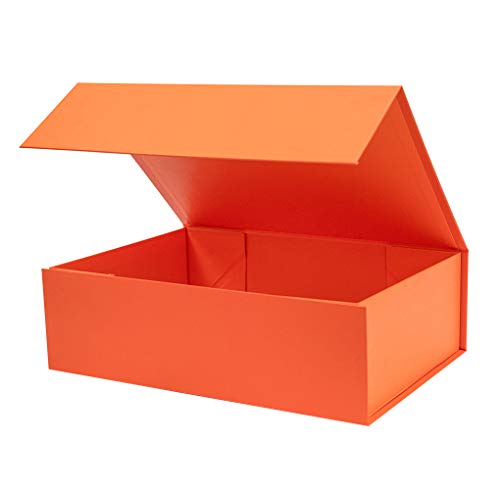 Orange-Pack of 1