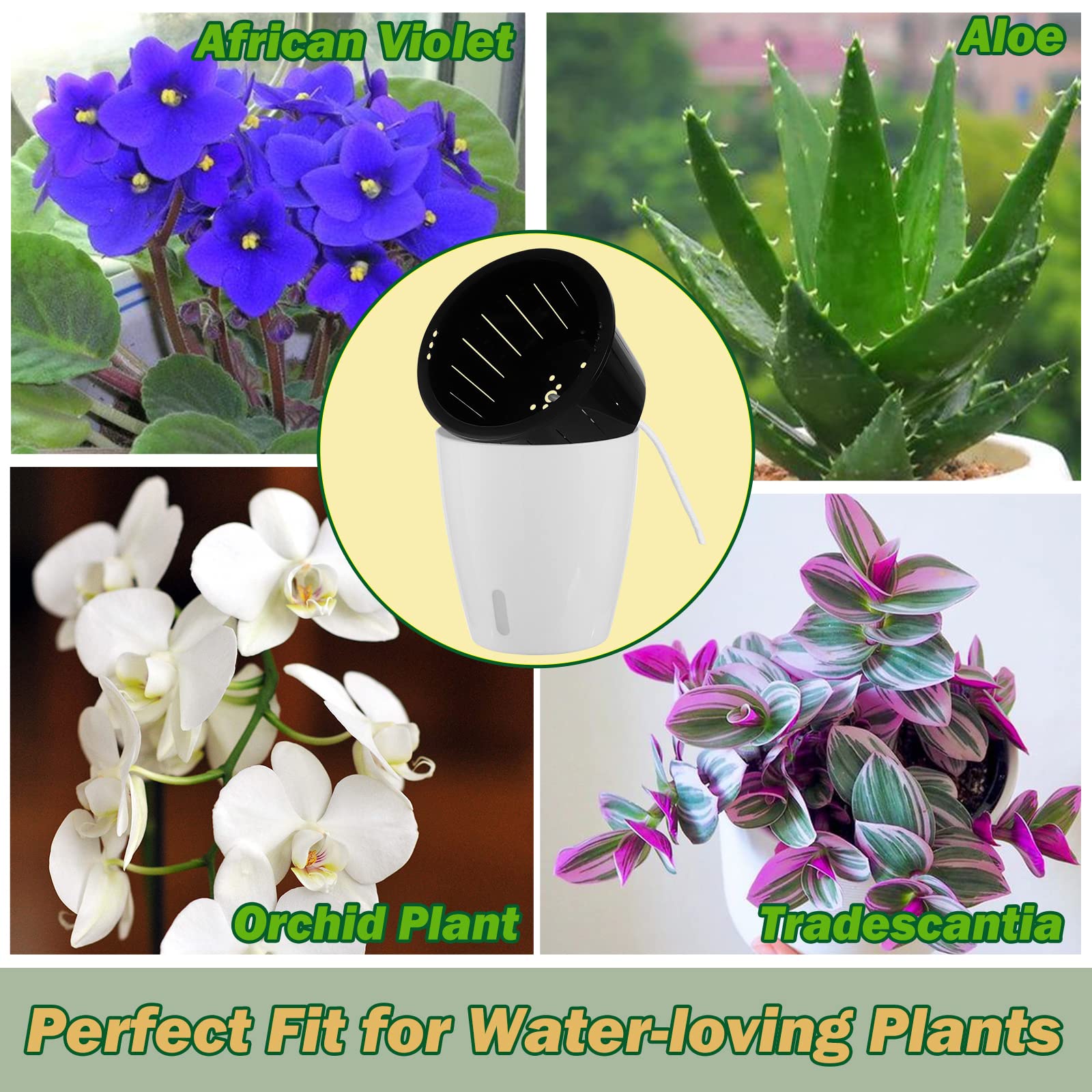 Planterhoma 5 Inch Self Watering Plant Pots - 6 Pack African Violet Pots with Water Level Indicator, Drainage Holes & Wick System - Ideal for Orchids, Devil's Ivy, Succulents & Indoor Plants - Perfect for Home, Office & Garden Decor