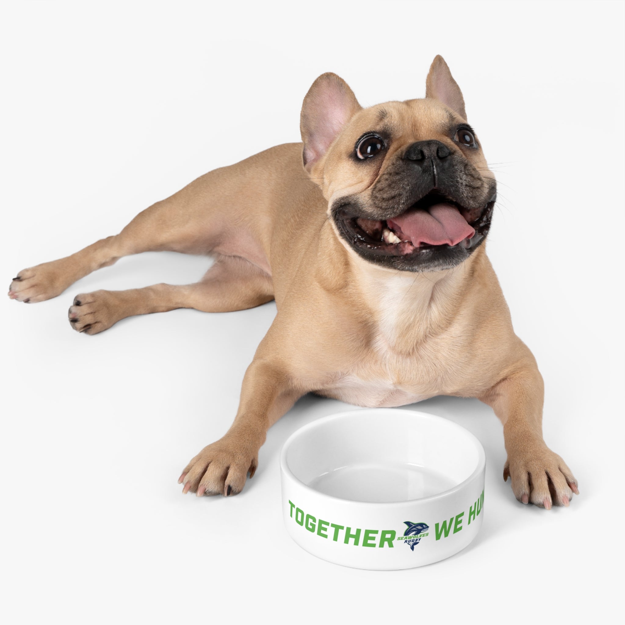Premium Stainless Steel Pet Bowl for Dogs & Cats - Non-Slip, Chew-Proof, Easy to Clean - Perfect for Indoor/Outdoor Feeding & Travel Use