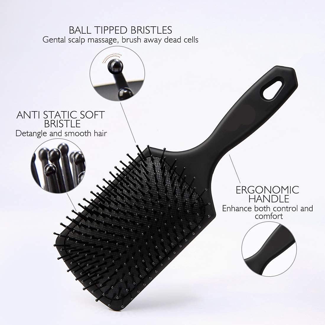 CARAPACE Square Paddle Hair Brush Set - Detangling & Scalp Massage Brush for Women, Men & Kids with Thin, Long or Curly Hair | Perfect for Daily Styling, Salon Use & Travel Essentials