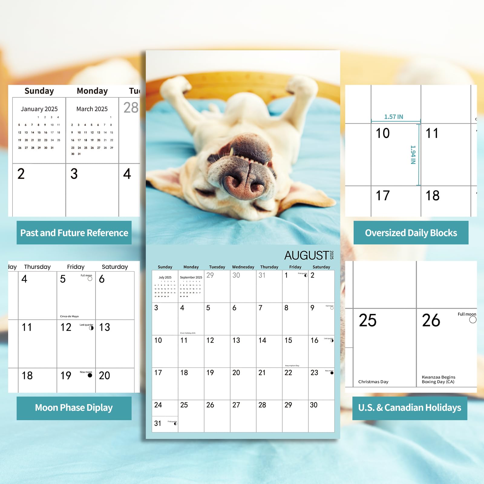 2025 Funny Dogs Wall Calendar - 12