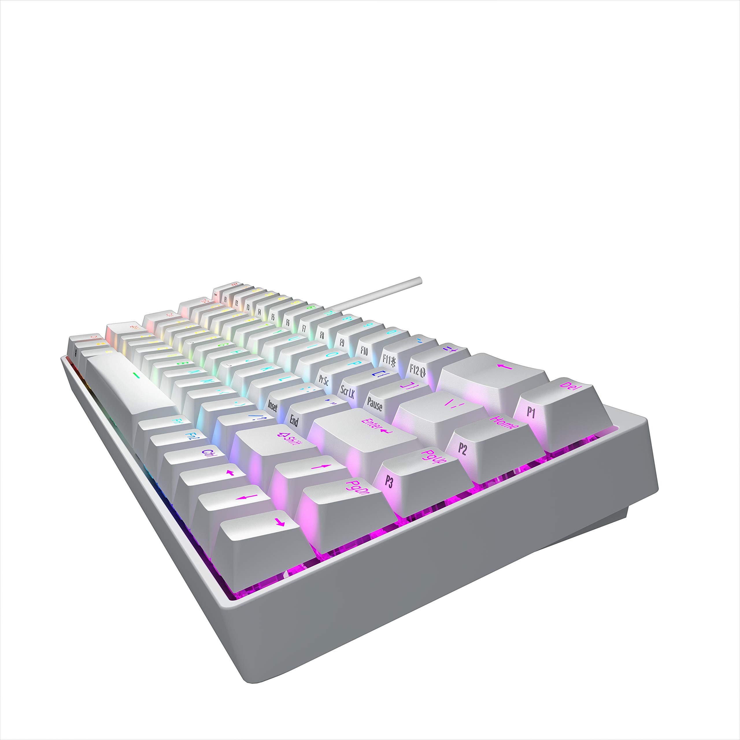 DURGOD Hades 68 RGB Mechanical Keyboard - 65% Compact, PBT Keycaps for Gaming & Office