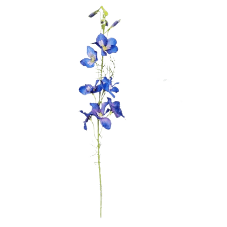 Artificial Tall Larkspur Flowers - Realistic Fake Floral Stems for Home Decor, Wedding Centerpieces & DIY Crafts