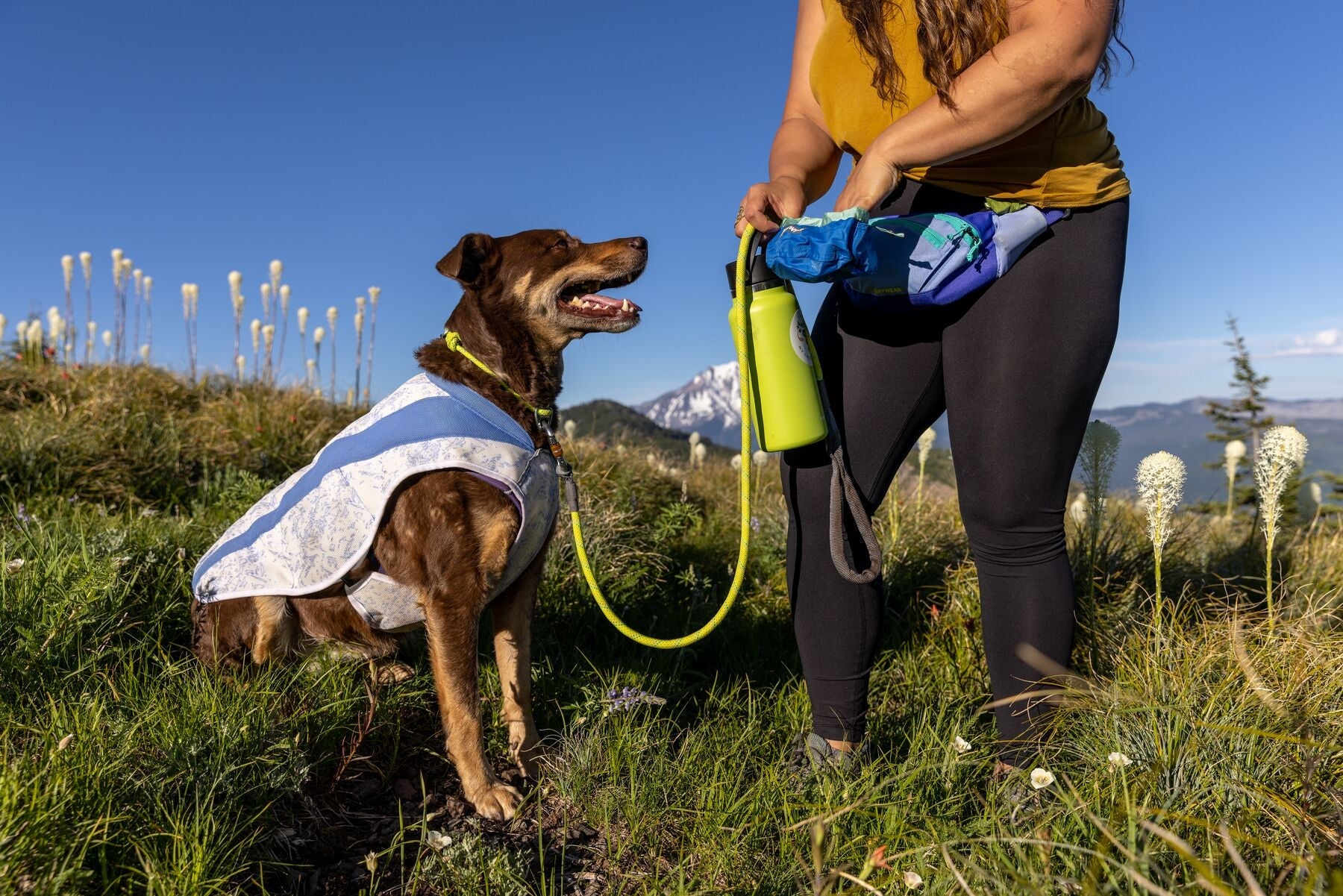 Ruffwear Home Trail® Hip Pack - Purple Dog Walking Waist Pack for Humans - Perfect for Hiking, Running & Outdoor Adventures with Your Pet