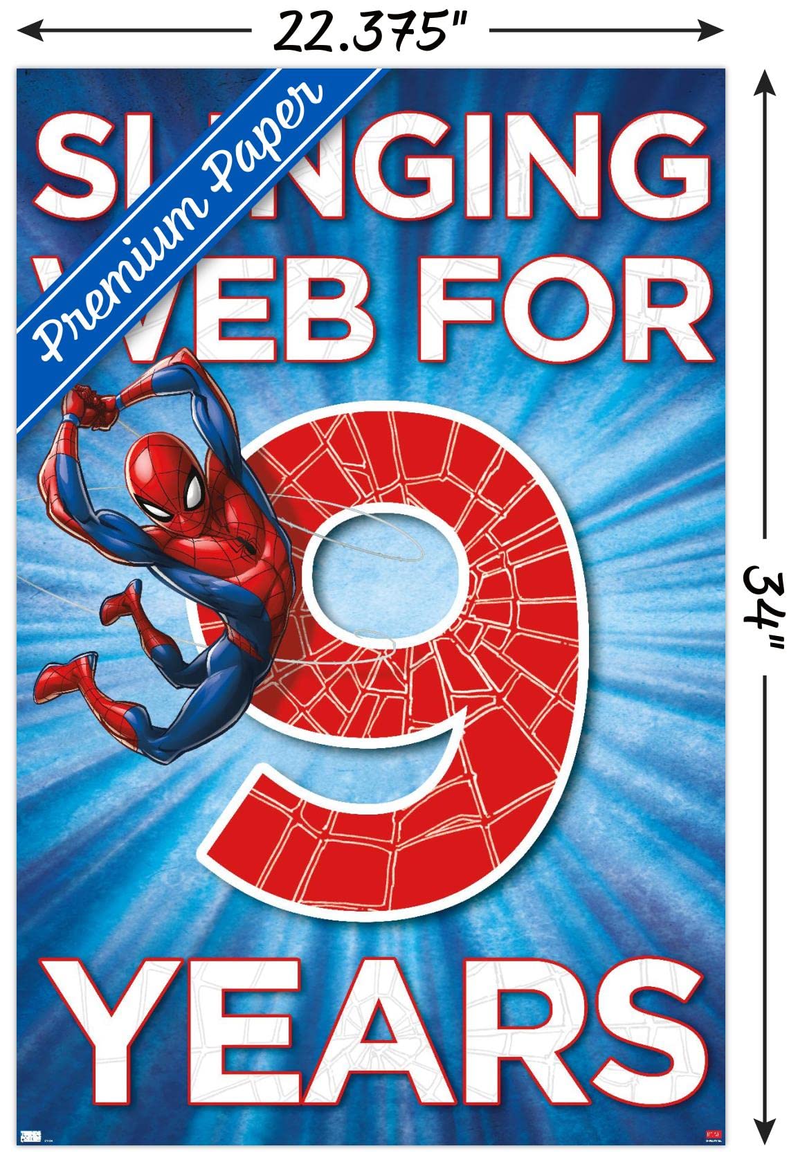 Marvel Spider-Man Happy 9th Birthday Wall Poster - 34