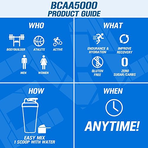 EVLUTION EVL BCAA Amino Acids Powder - 5g Branched Chain Amino Acid Supplement for Men & Women - Post Workout Recovery Drink, Stimulant-Free Pre Workout Energy - Cherry Limeade Flavor - Ideal for Muscle Recovery, Gym Performance & Fitness Enthusiasts