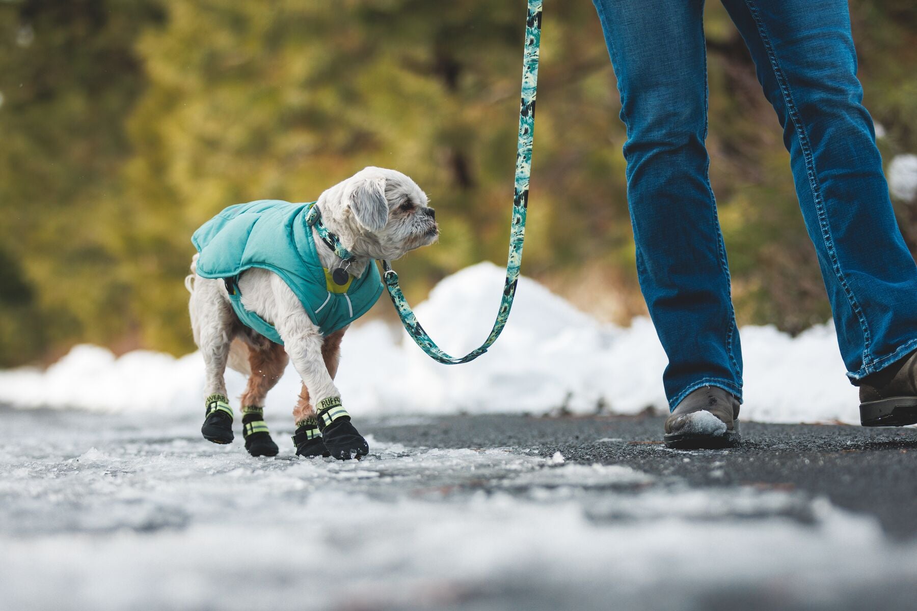 Ruffwear Front Range® Dog Harness - Deep Jungle Pattern | Durable & Adjustable for Hiking, Running & Outdoor Adventures