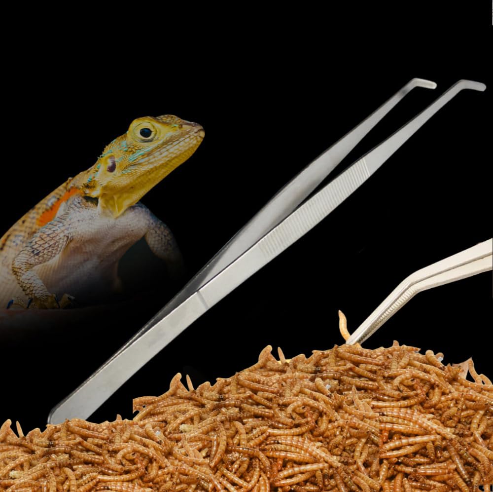 Stainless Steel Reptile Feeding Tongs - Long Handle Feeding Tool for Hedgehogs, Hamsters, Guinea Pigs, Rats & Lizards | Small Animal Care Supplies | Perfect for Feeding & Cage Cleaning