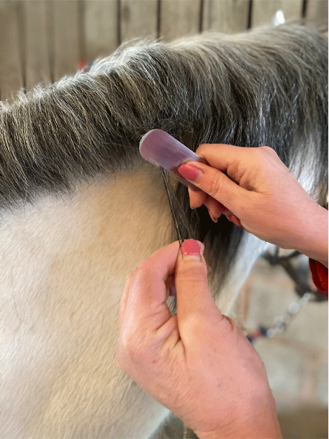 Smart Grooming Pro Leveling Knife - Professional Pet Grooming Tool for Dogs & Cats - Perfect for Home Grooming, Trimming & Styling