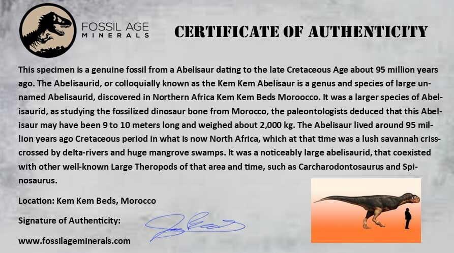 Authentic 0.6